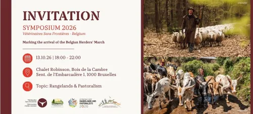 VSF Symposium 2026